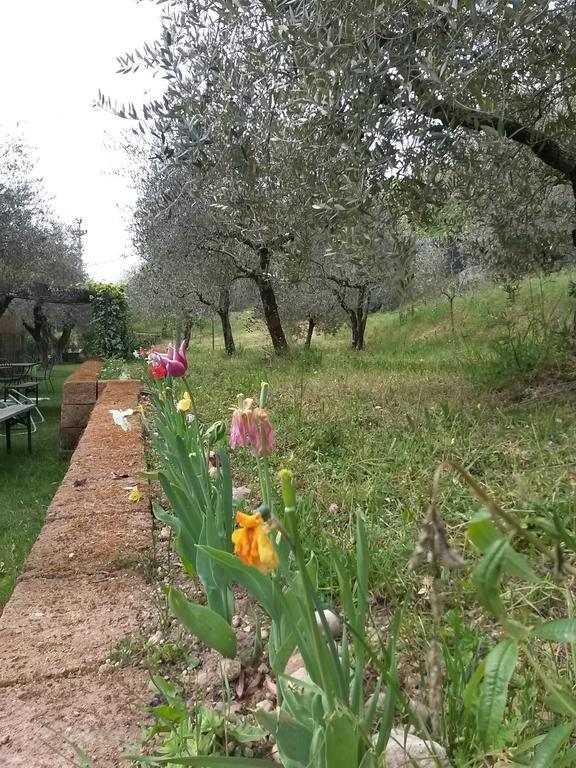Agriturismo Camparella Pastrengo Εξωτερικό φωτογραφία