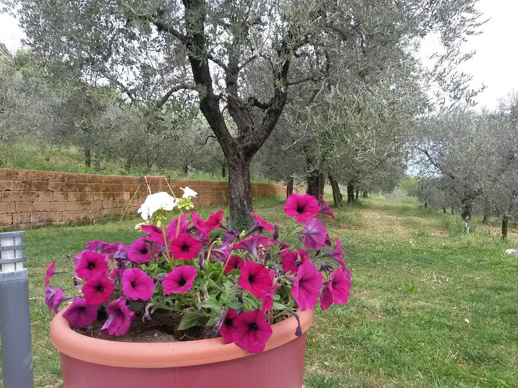 Agriturismo Camparella Pastrengo Εξωτερικό φωτογραφία