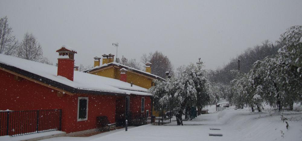 Agriturismo Camparella Pastrengo Εξωτερικό φωτογραφία
