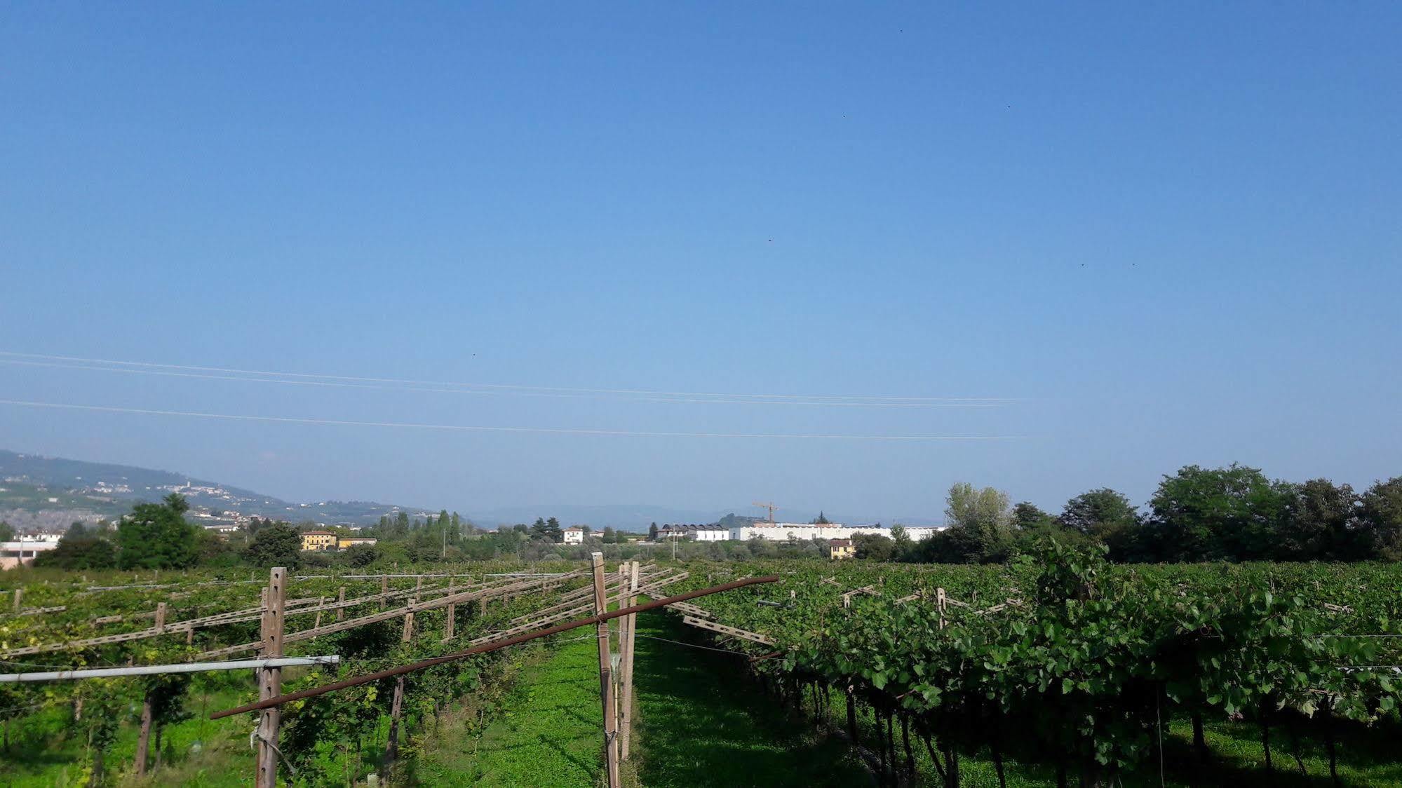 Agriturismo Camparella Pastrengo Εξωτερικό φωτογραφία